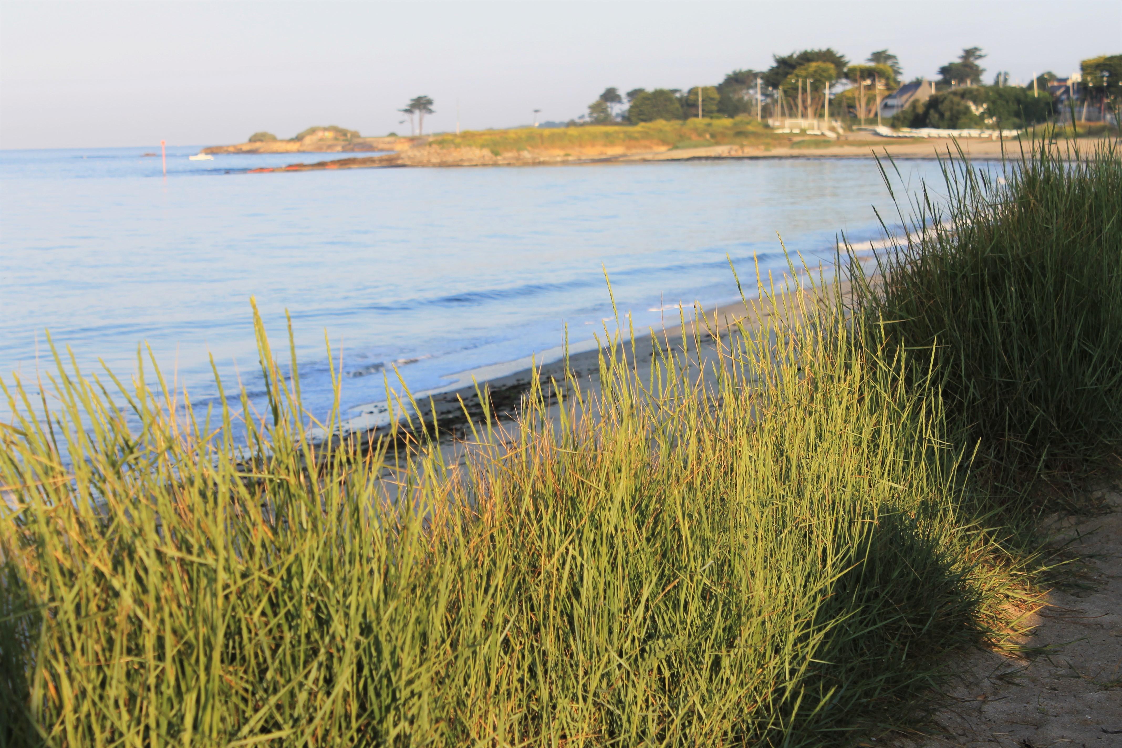 Logis Hotel & Restaurant Les Mouettes - Larmor Plage, Proche De Lorient Екстер'єр фото