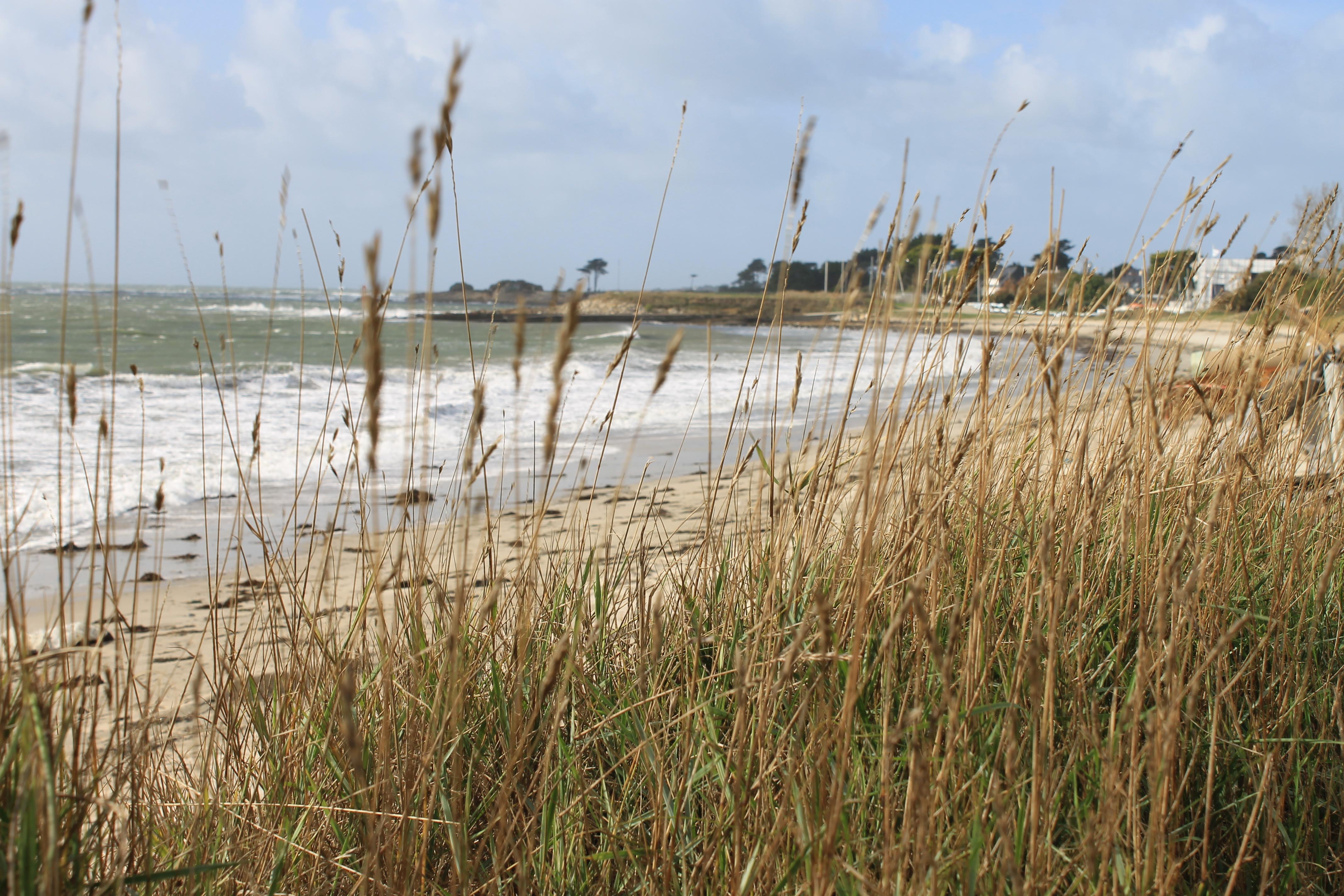 Logis Hotel & Restaurant Les Mouettes - Larmor Plage, Proche De Lorient Екстер'єр фото