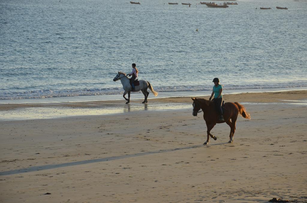 Logis Hotel & Restaurant Les Mouettes - Larmor Plage, Proche De Lorient Екстер'єр фото